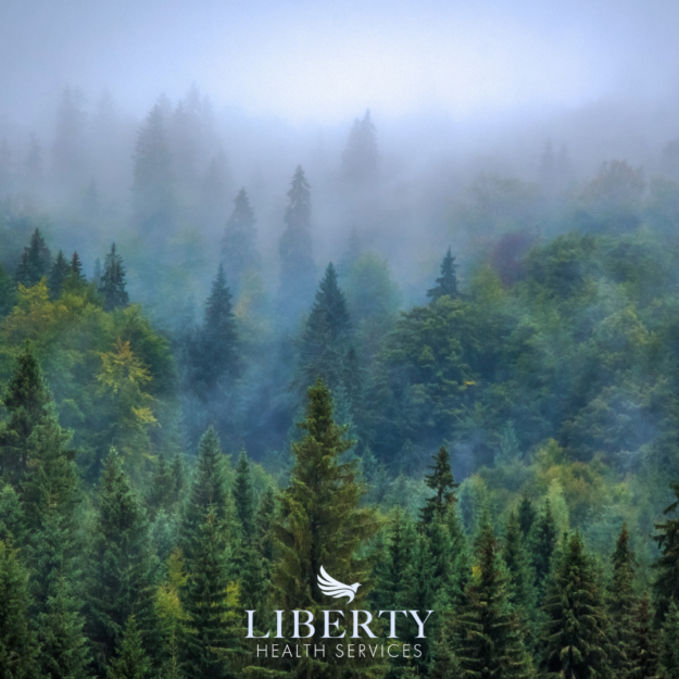 Misty New Hampshire forest - A serene and mystical forest scene in New Hampshire, shrouded in mist. Tall trees and vibrant foliage create a peaceful and enchanting atmosphere